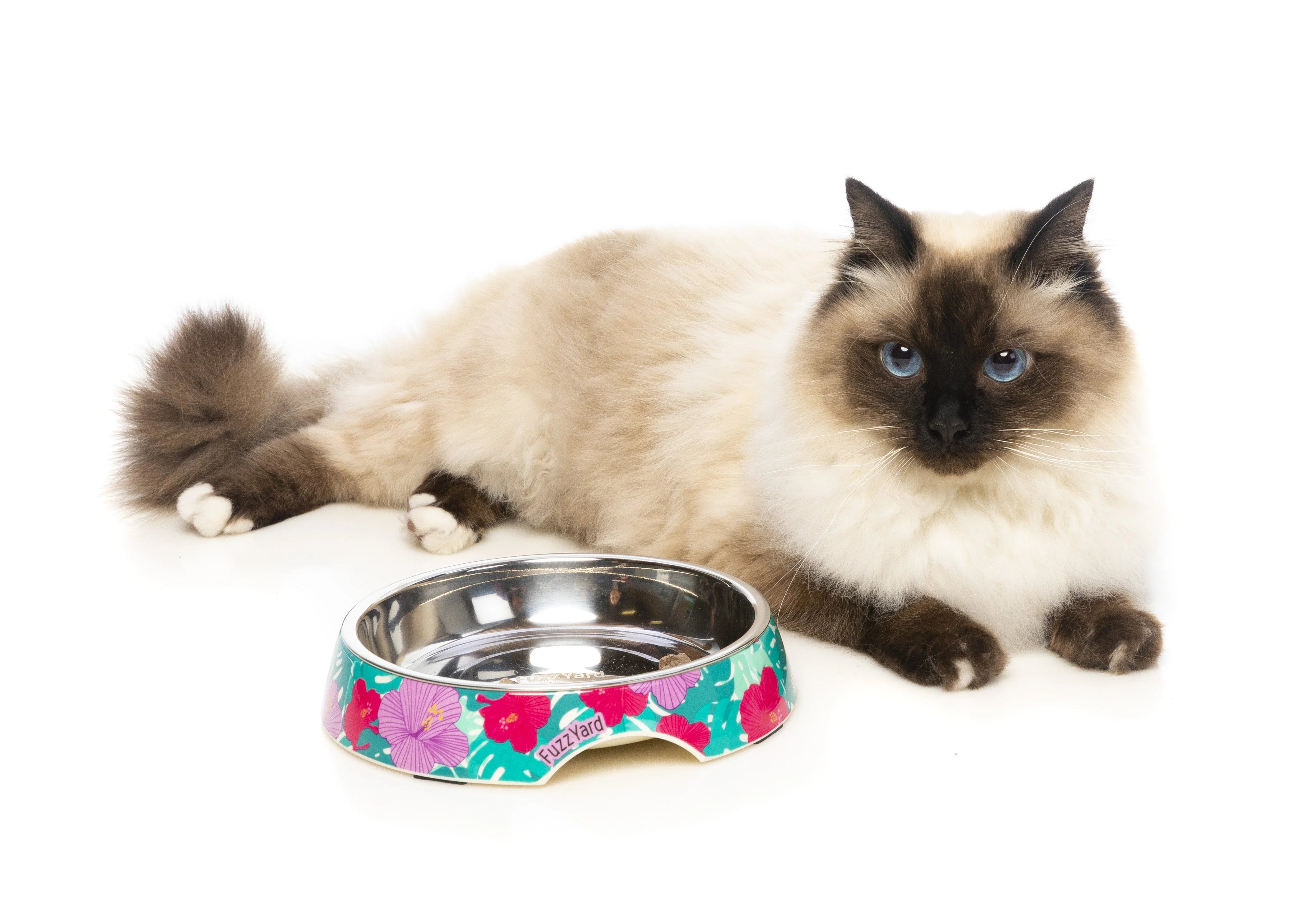 Fuzzyard | Lahaina - Cat Bowl