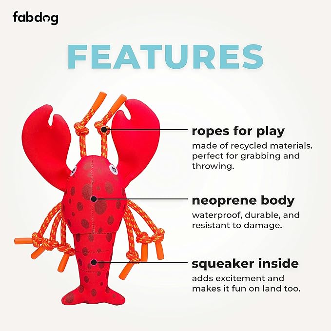 Fabdog | Lobster Floatie - Dog Toy-Fabdog-Love My Hound