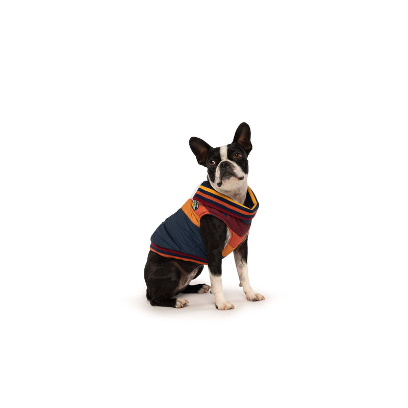 Fabdog | Navy Chevron Dog Coat-fabdog-Love My Hound