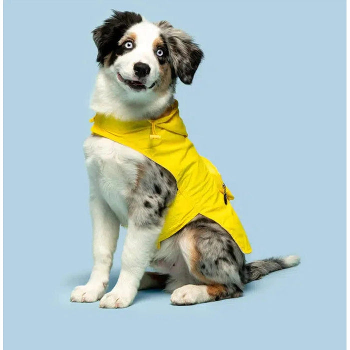 Fabdog | Yellow Argyle Packaway Dog Raincoat-Fabdog-Love My Hound