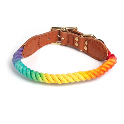 Found My Animal | Prismatic Ombre Rope Dog Collar-Found My Animal-Love My Hound