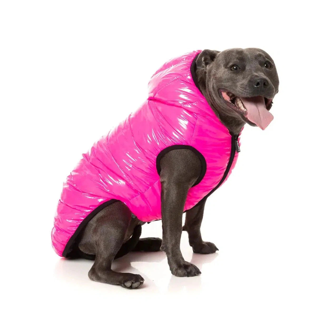 Pet Clothes, Hoodie Coat