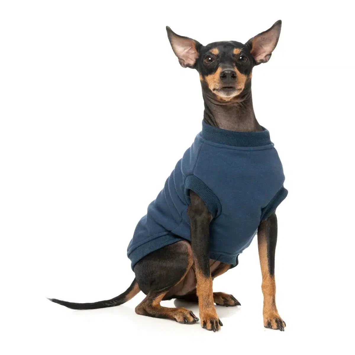 FuzzYard | Allday Sweater - Navy-FuzzYard-Love My Hound