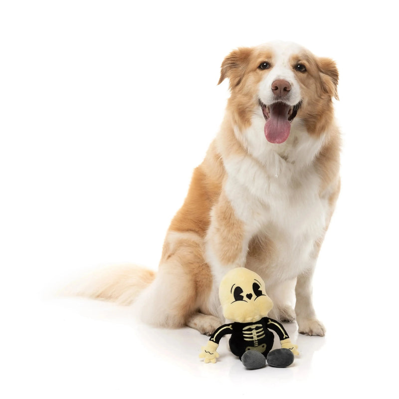 FuzzYard | Arthur-itis Halloween Dog Toy-FuzzYard-Love My Hound