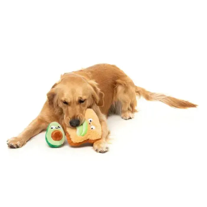FuzzYard | Avocado & Toast 2pk - Dog Toy-FuzzYard-Love My Hound