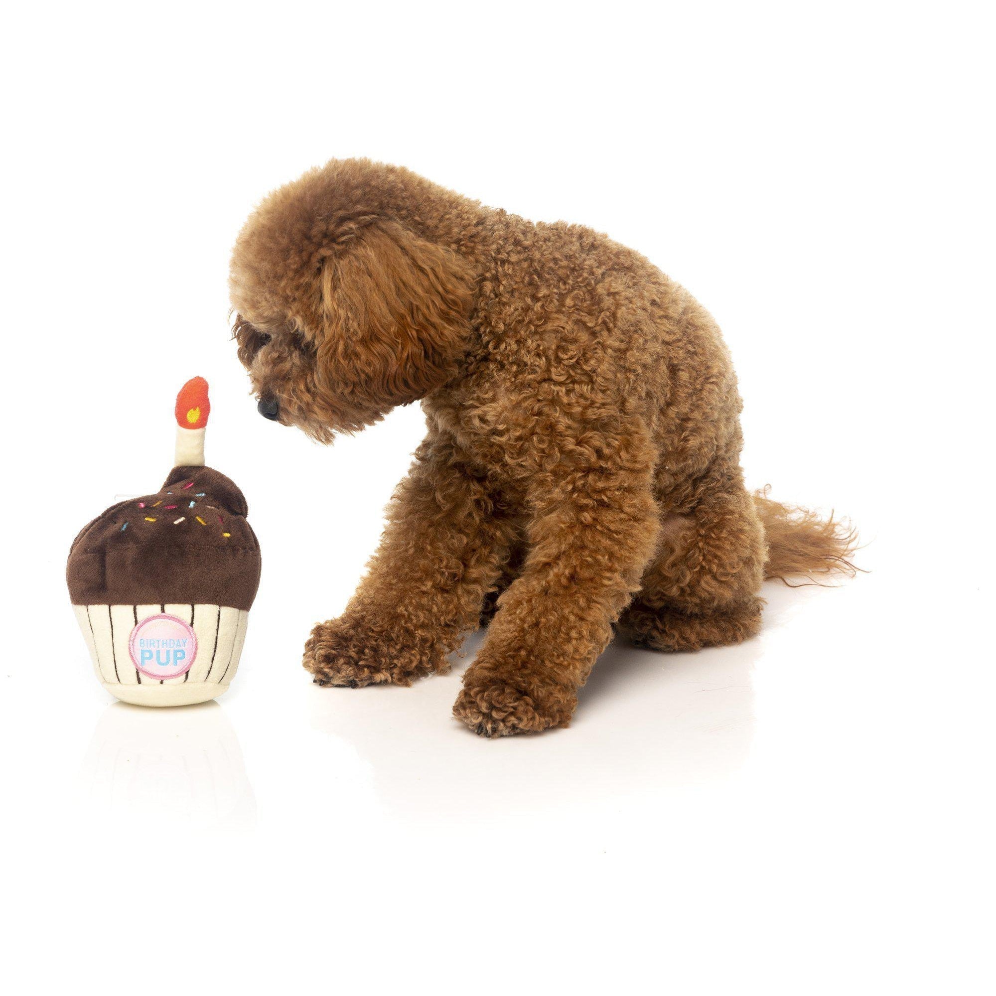 FuzzYard - Birthday Cupcake - Plush Dog Toy-FuzzYard-Love My Hound