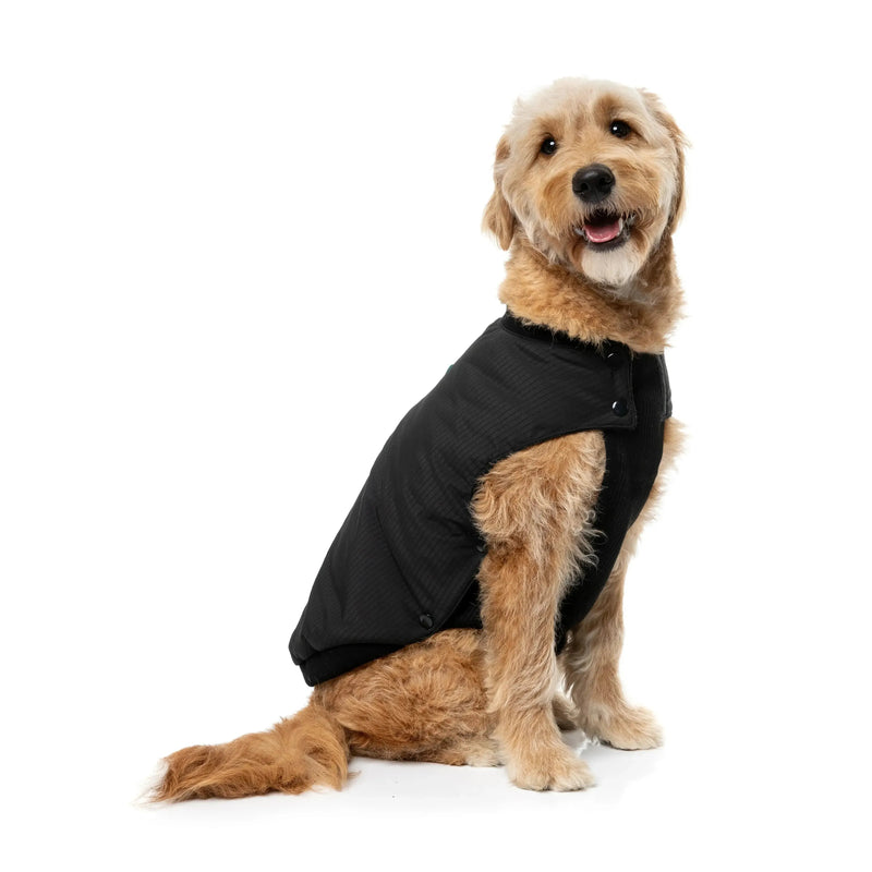 FuzzYard | Bomber Jacket - Black-FuzzYard-Love My Hound