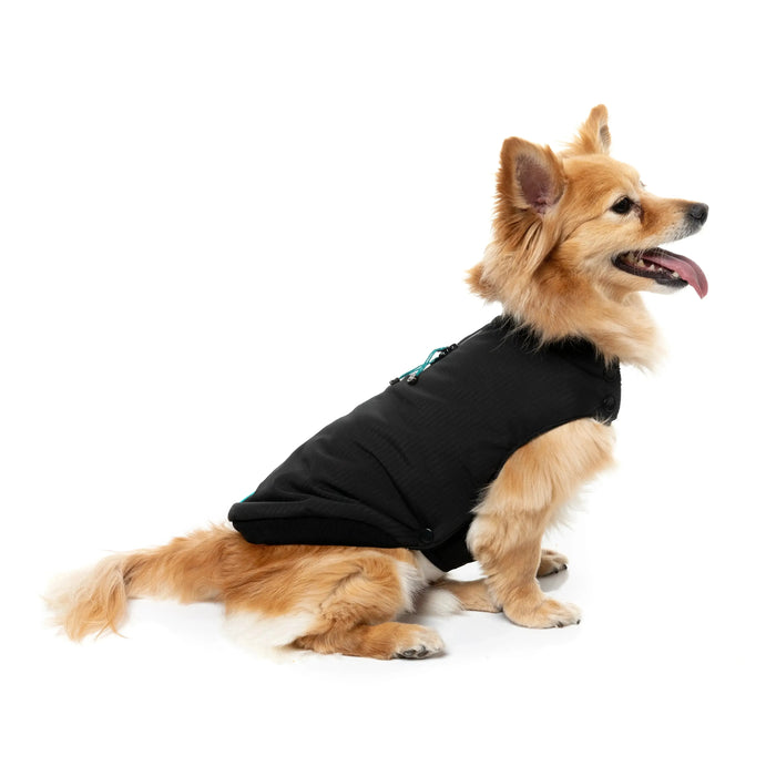 FuzzYard | Bomber Jacket - Black-FuzzYard-Love My Hound