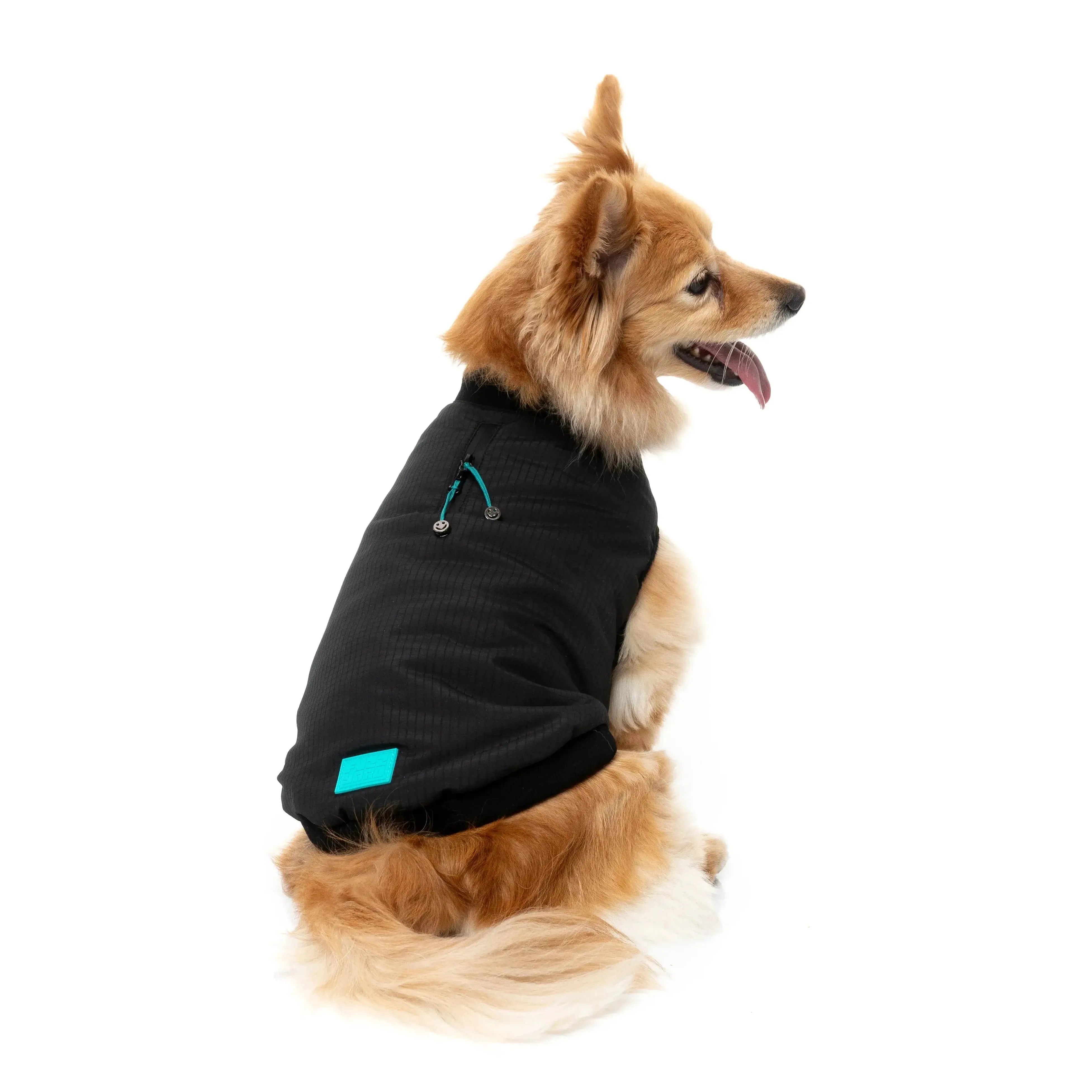 FuzzYard | Bomber Jacket - Black-FuzzYard-Love My Hound