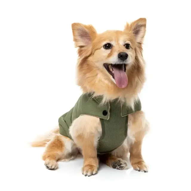 FuzzYard | Bomber Jacket - Khaki Green-FuzzYard-Love My Hound