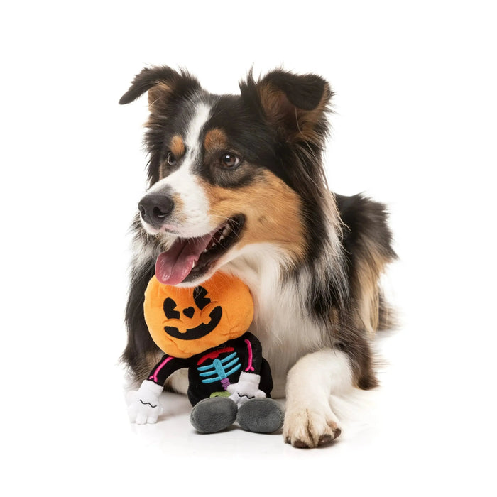 FuzzYard | Boo-Ternut Halloween Dog Toy-FuzzYard-Love My Hound