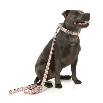 FuzzYard | Daily Grind - Dog Lead-FuzzYard-Love My Hound