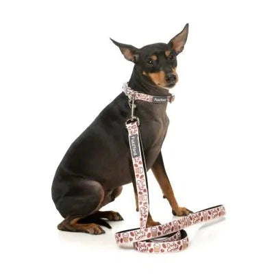 FuzzYard | Daily Grind - Dog Lead-FuzzYard-Love My Hound