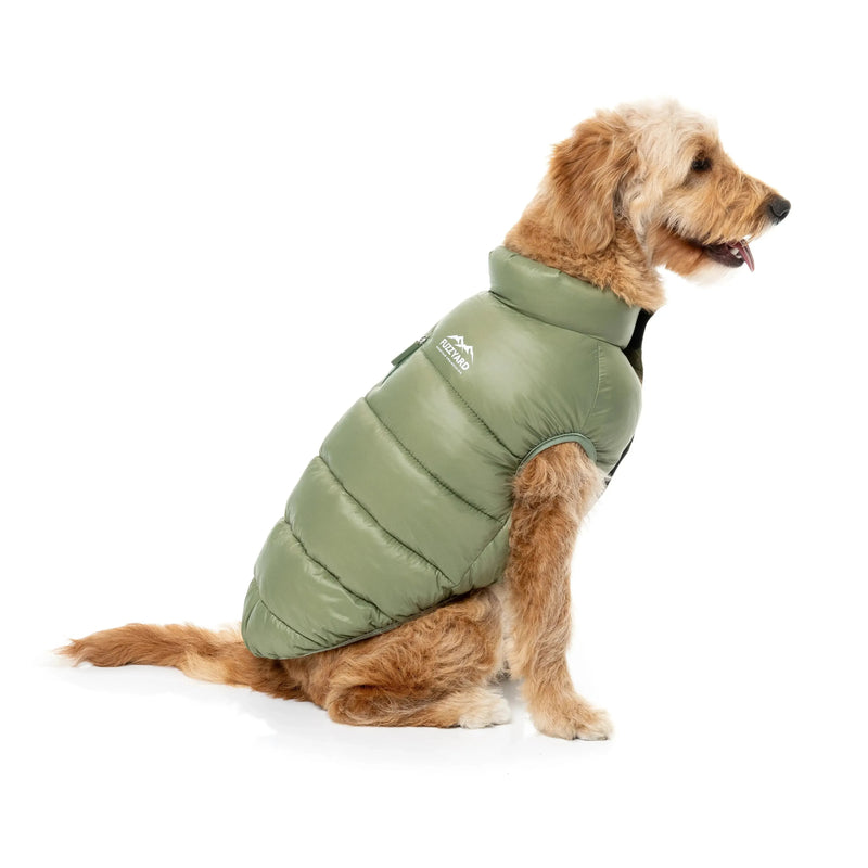 FuzzYard | East Harlem Dog Puffer Jacket - Khaki-FuzzYard-Love My Hound