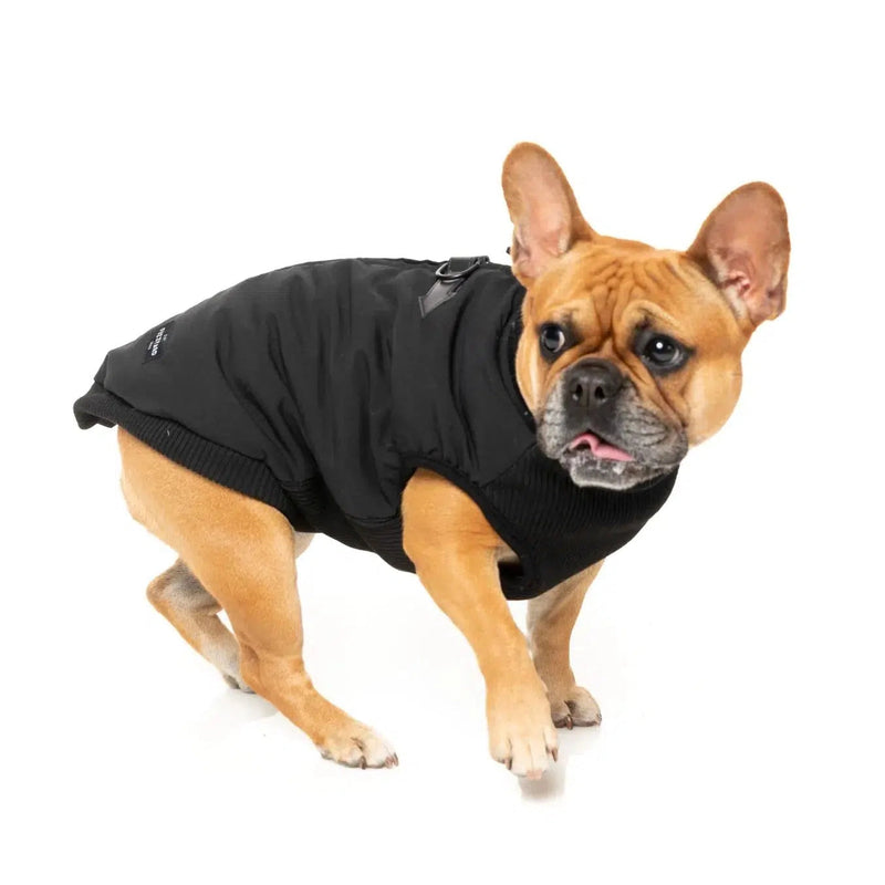 FuzzYard | East MacGyver Dog Harness Jacket - Black-FuzzYard-Love My Hound