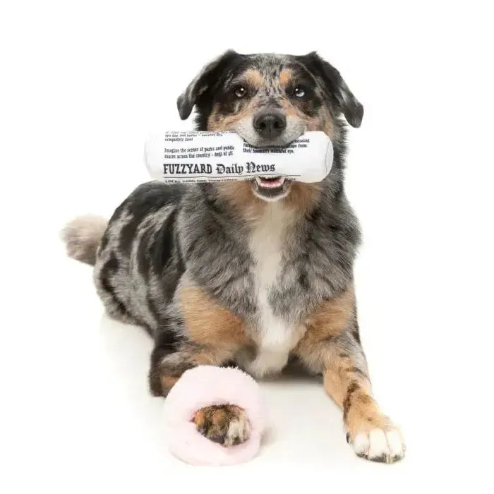 FuzzYard | Fetch My Slippers & Paper 2 pack-FuzzYard-Love My Hound