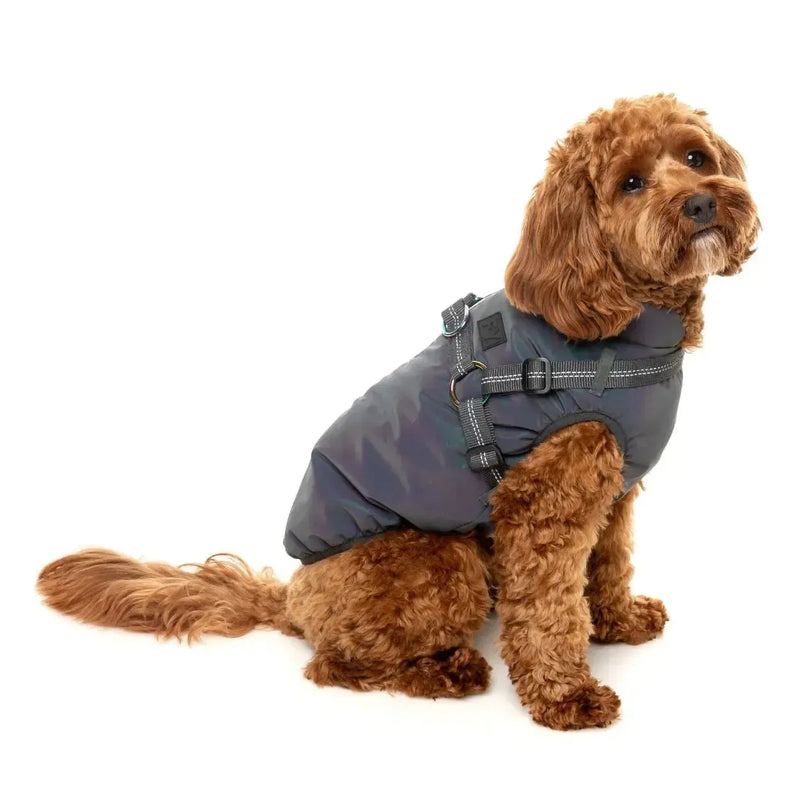 FuzzYard | Flash Jacket - Reflective-FuzzYard-Love My Hound