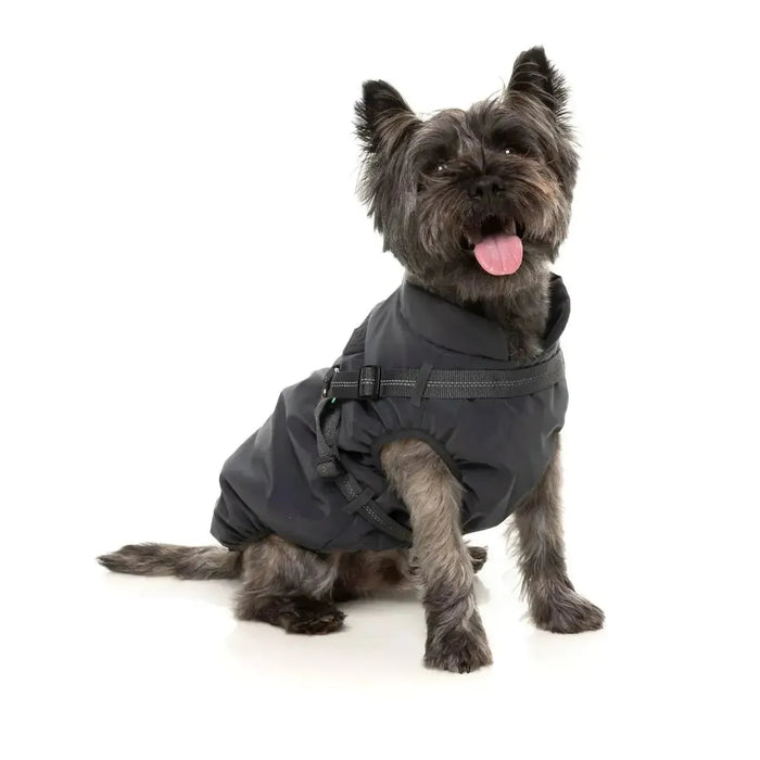 FuzzYard | Flash Jacket - Reflective-FuzzYard-Love My Hound