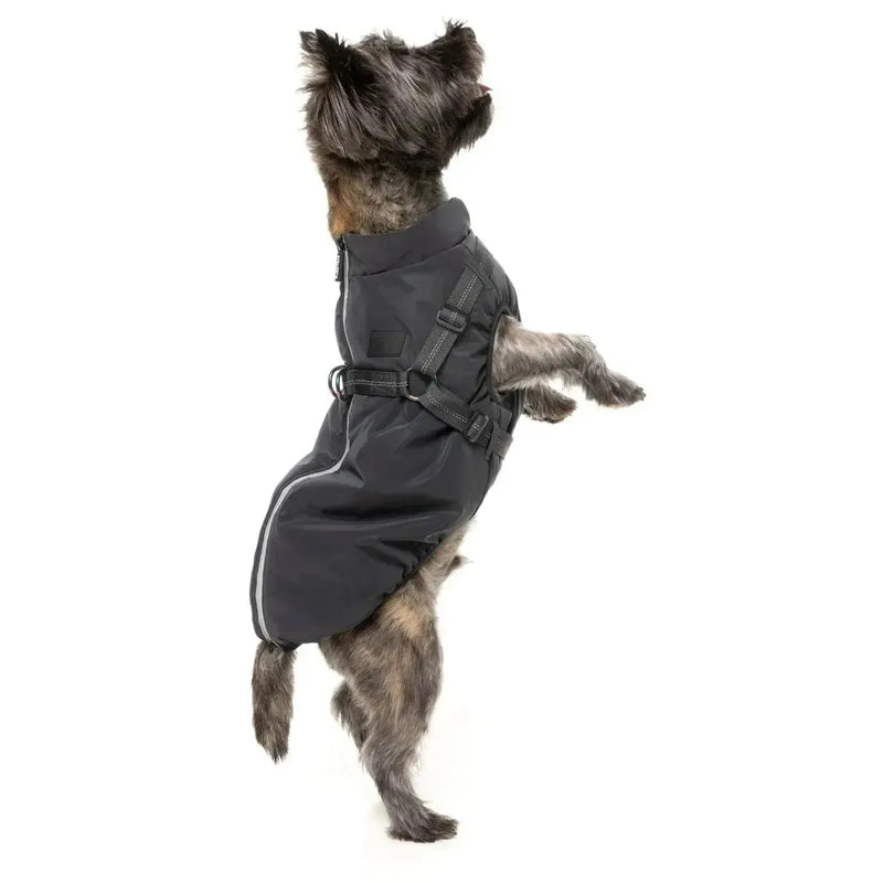 FuzzYard | Flash Jacket - Reflective-FuzzYard-Love My Hound