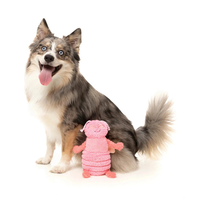 FuzzYard | Flutter The Bed Bug - Plush Dog Toy-FuzzYard-Love My Hound