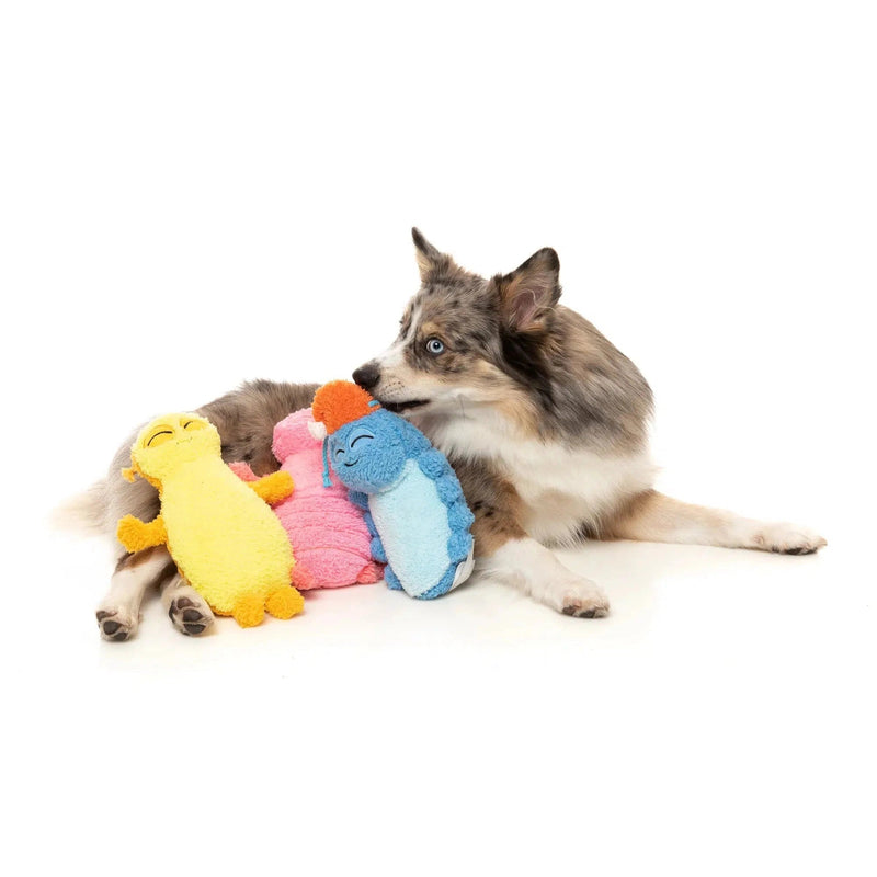 FuzzYard | Flutter The Bed Bug - Plush Dog Toy-FuzzYard-Love My Hound