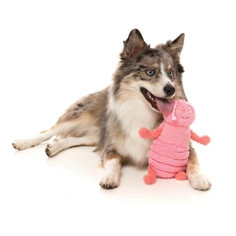 FuzzYard | Flutter The Bed Bug - Plush Dog Toy-FuzzYard-Love My Hound