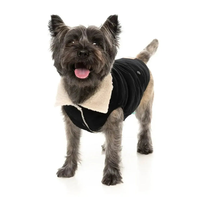 FuzzYard | Frontier Jacket - Black-FuzzYard-Love My Hound