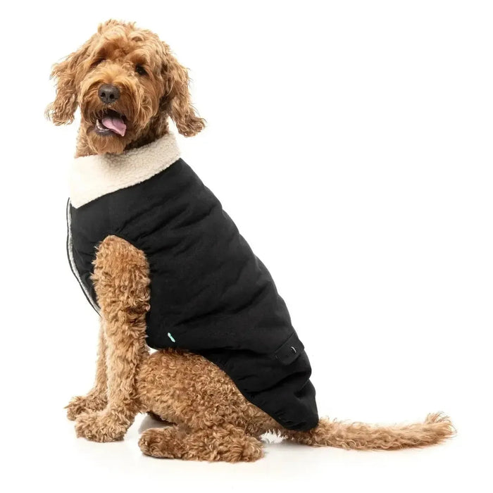 FuzzYard | Frontier Jacket - Black-FuzzYard-Love My Hound