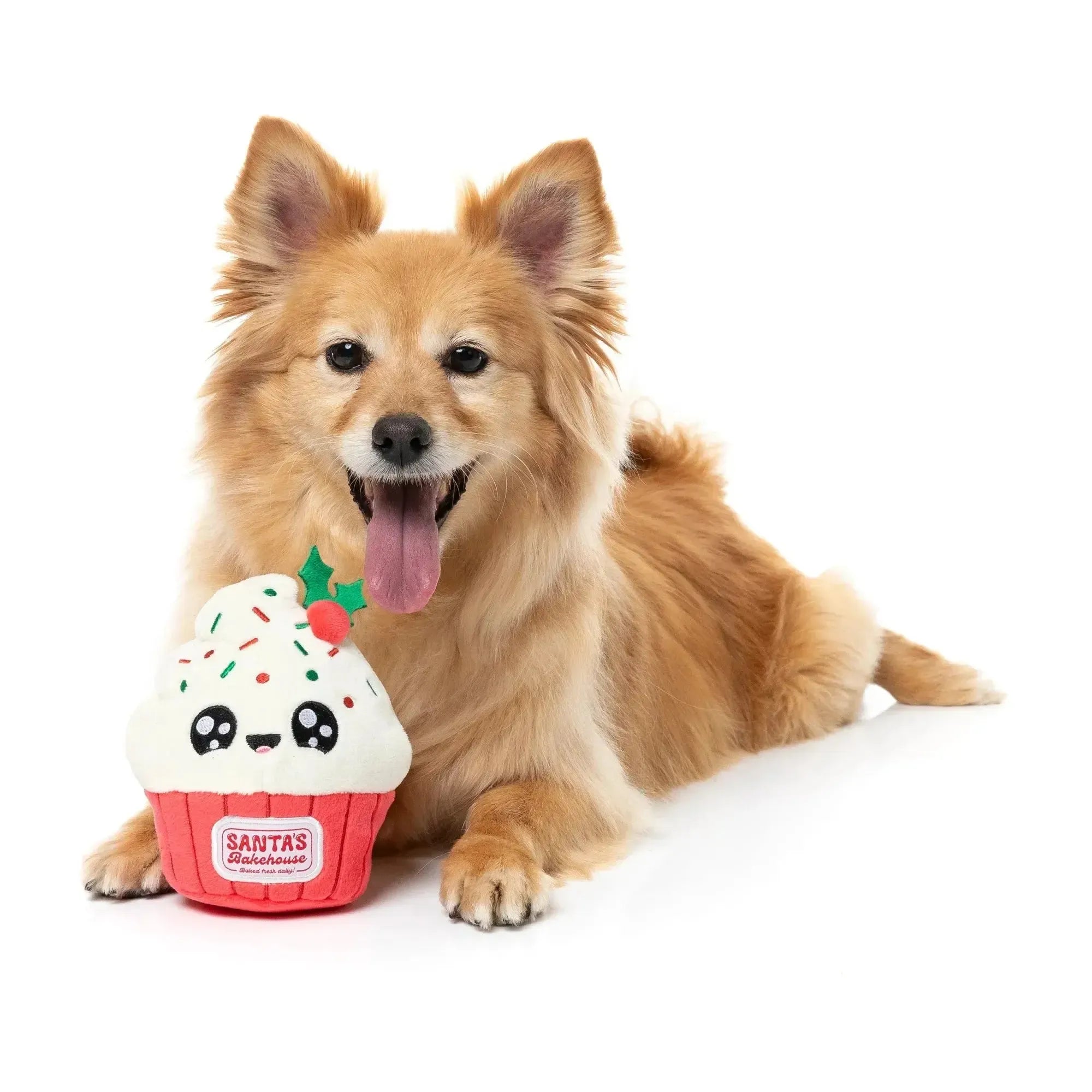 FuzzYard | Frosty The Cupcake - Christmas Dog Toy-FuzzYard-Love My Hound