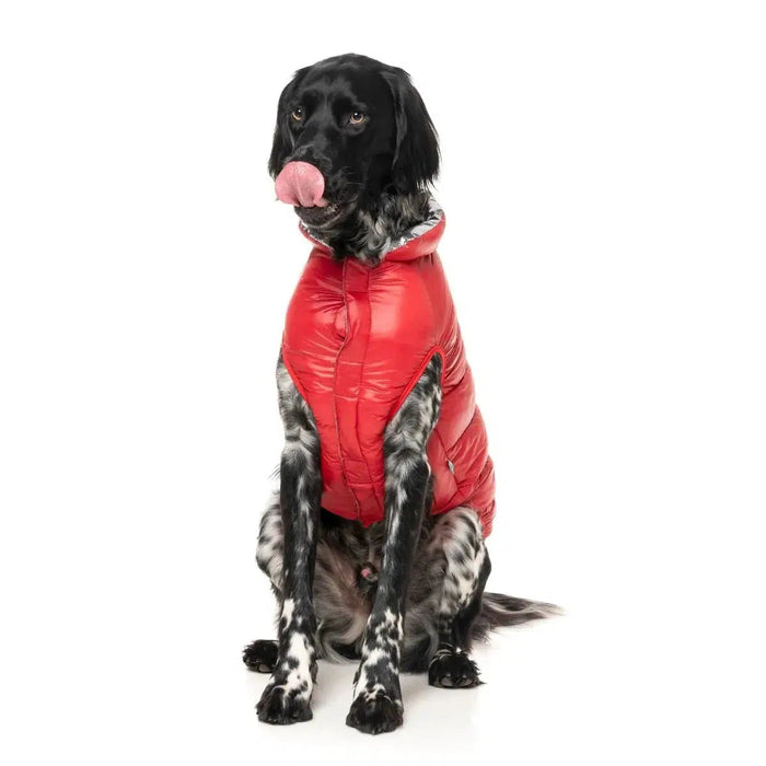 FuzzYard | Hakuba Jacket - Red-FuzzYard-Love My Hound