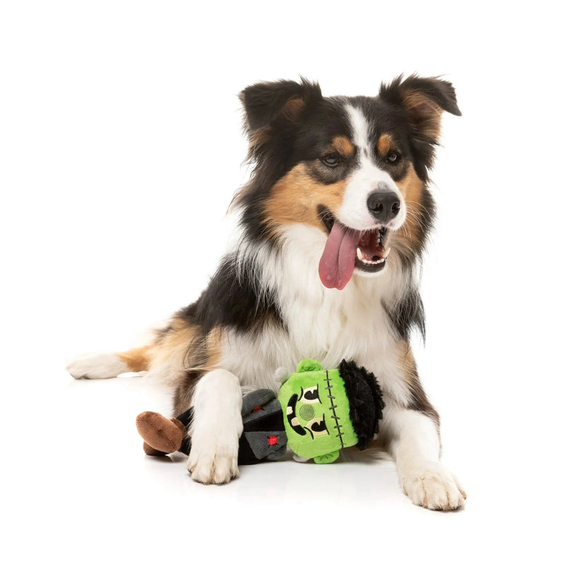 FuzzYard | Igor Halloween Dog Toy-FuzzYard-Love My Hound