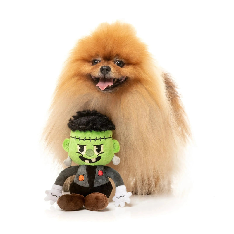 FuzzYard | Igor Halloween Dog Toy-FuzzYard-Love My Hound
