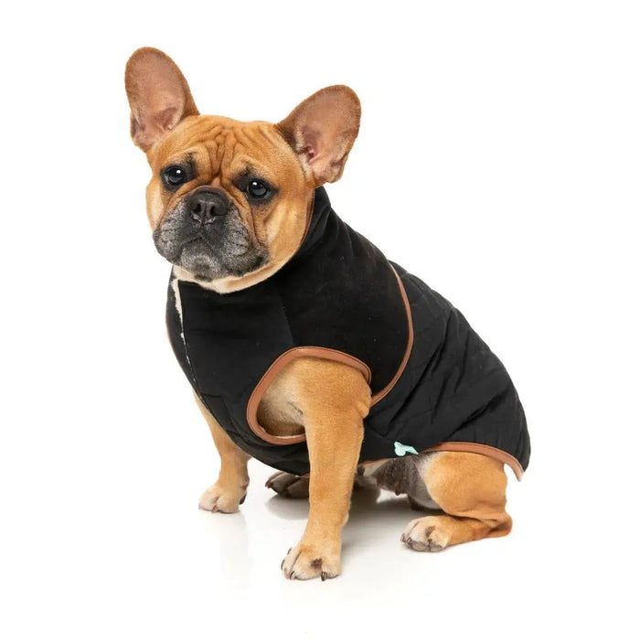 FuzzYard | Ivanhoe Jacket - Black-FuzzYard-Love My Hound