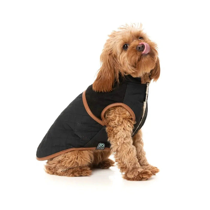 FuzzYard | Ivanhoe Jacket - Black-FuzzYard-Love My Hound