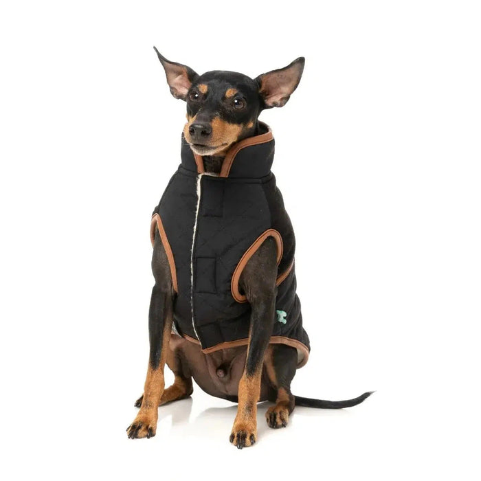 FuzzYard | Ivanhoe Jacket - Black-FuzzYard-Love My Hound