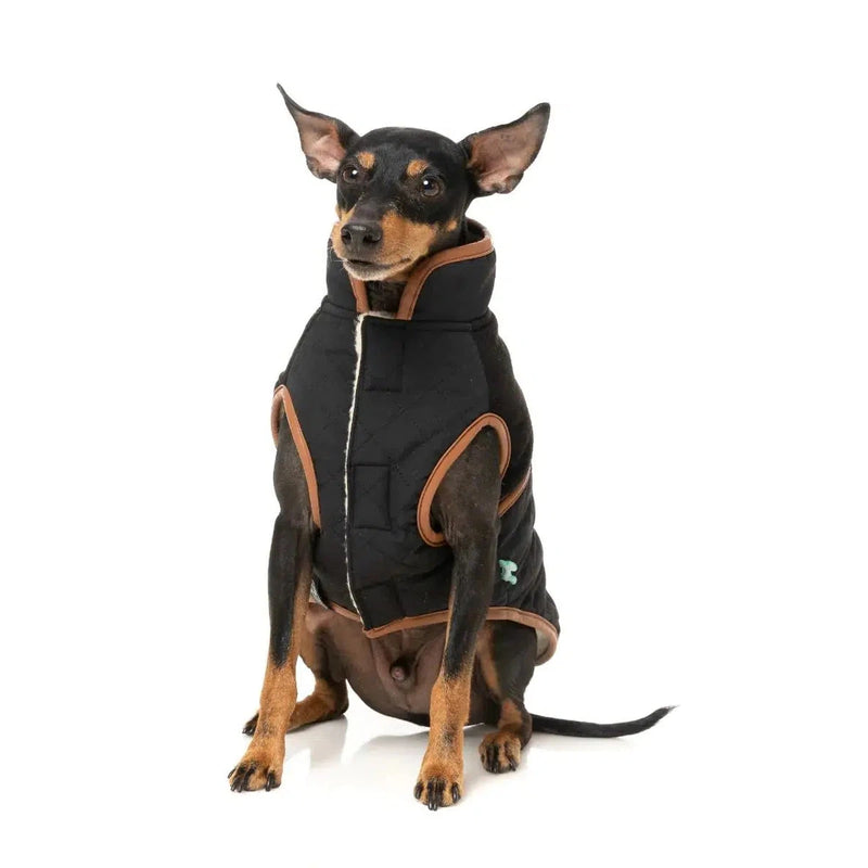 FuzzYard | Ivanhoe Jacket - Black-FuzzYard-Love My Hound