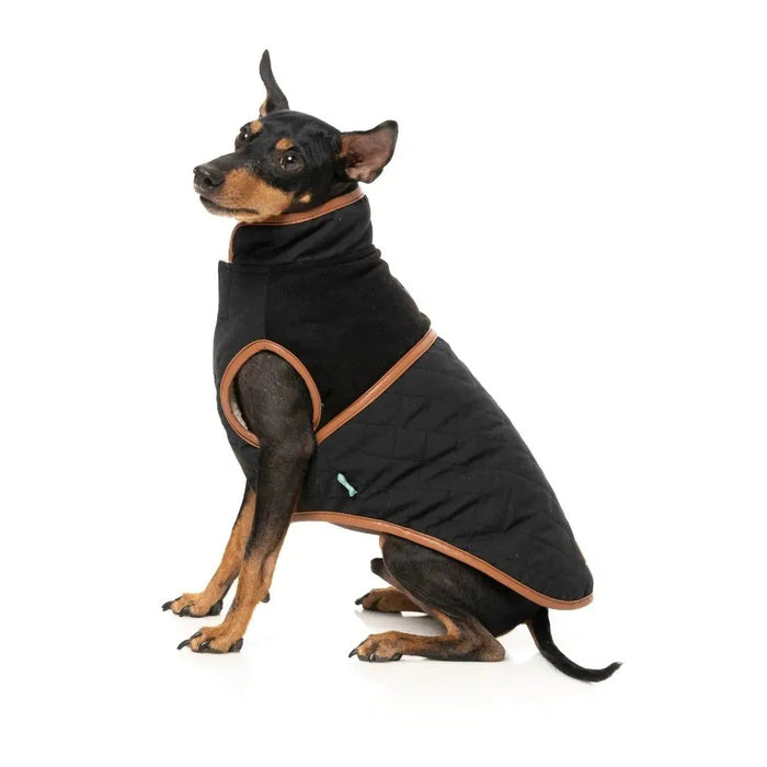 FuzzYard | Ivanhoe Jacket - Black-FuzzYard-Love My Hound