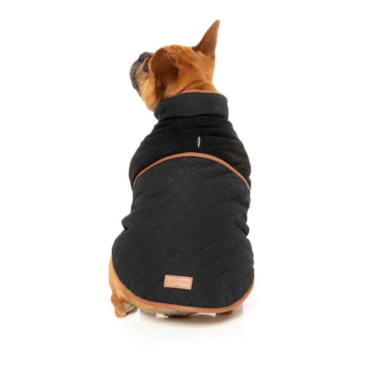 FuzzYard | Ivanhoe Jacket - Black-FuzzYard-Love My Hound