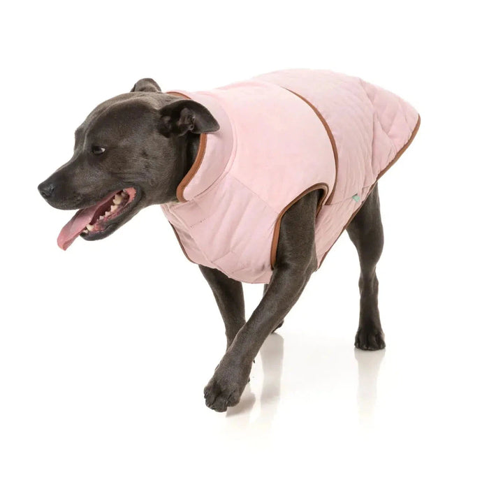 FuzzYard | Ivanhoe Jacket - Pink-FuzzYard-Love My Hound