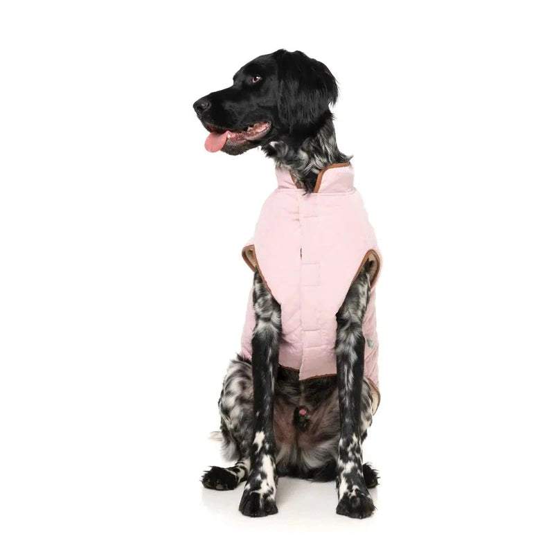 FuzzYard | Ivanhoe Jacket - Pink-FuzzYard-Love My Hound