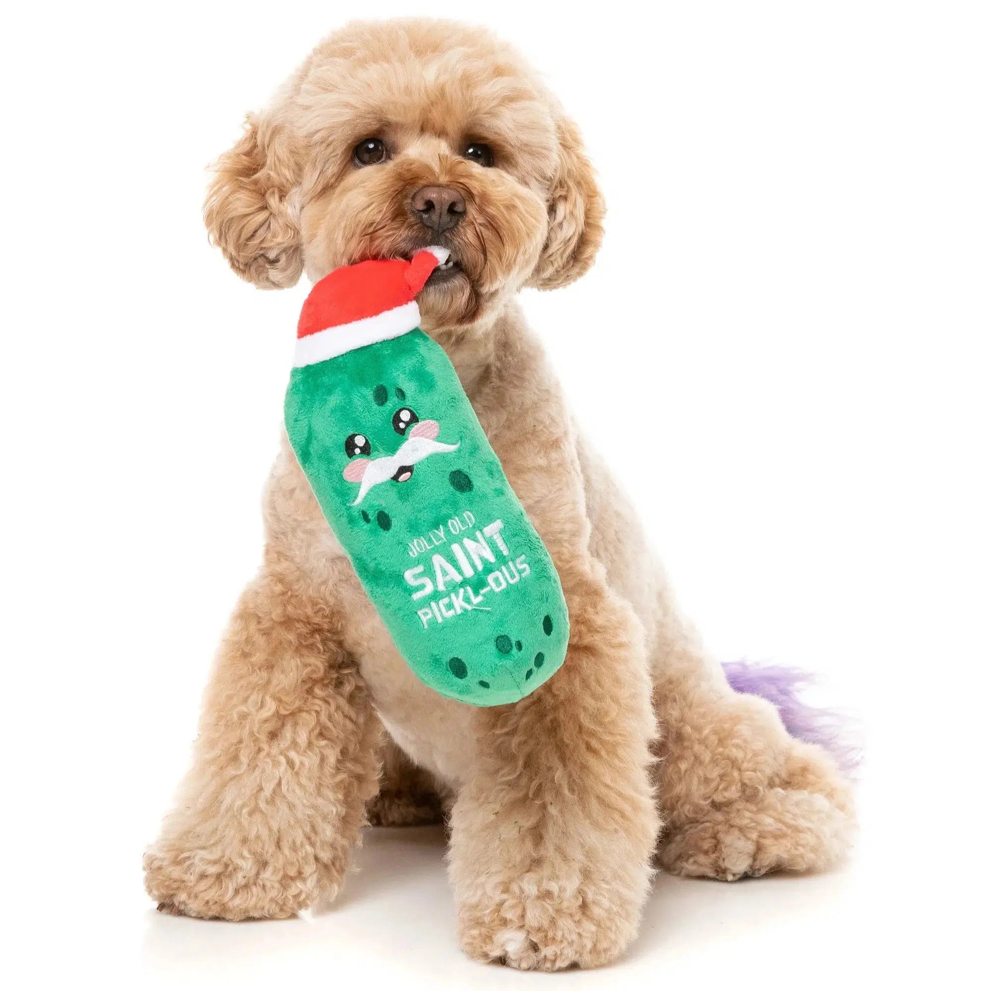 FuzzYard | Jolly Old St Pickl-ous - Christmas Dog Toy-FuzzYard-Love My Hound
