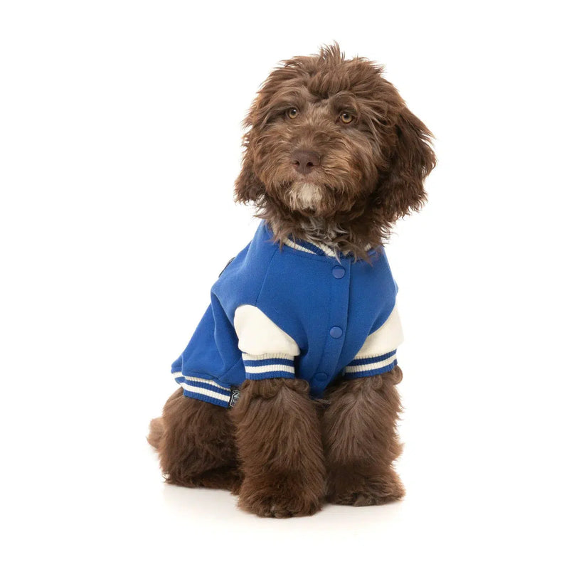 Dog letterman deals jacket