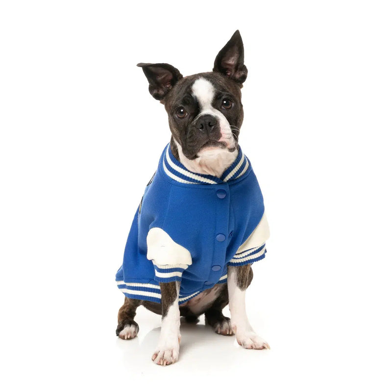 FuzzYard | Letterman Jacket - Blue-FuzzYard-Love My Hound