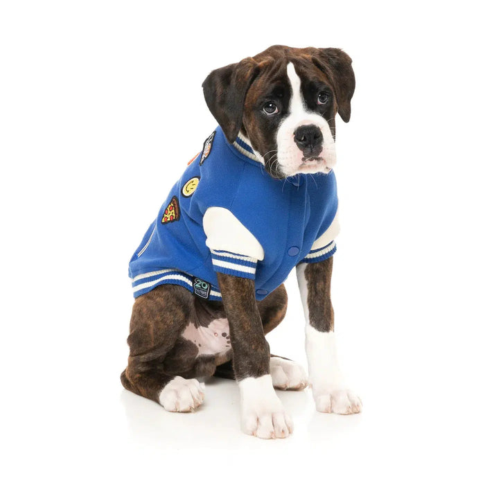 FuzzYard | Letterman Jacket - Blue-FuzzYard-Love My Hound