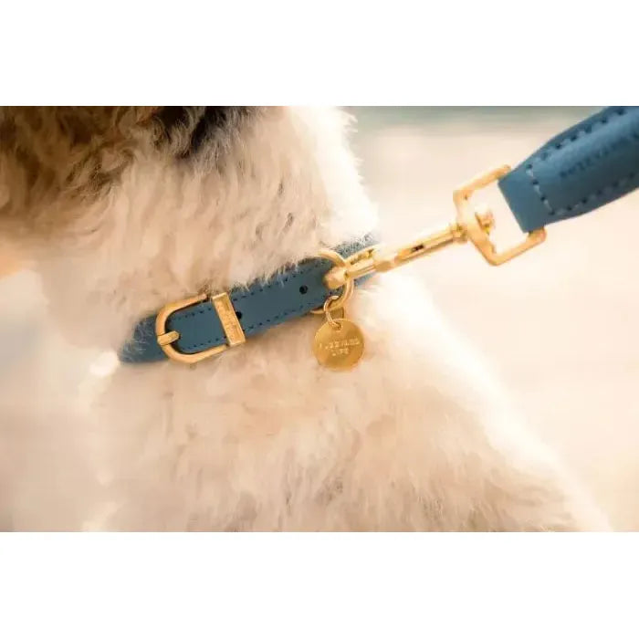 FuzzYard Life | Atelier Dog Collar - French Blue-FuzzYard Life-Love My Hound