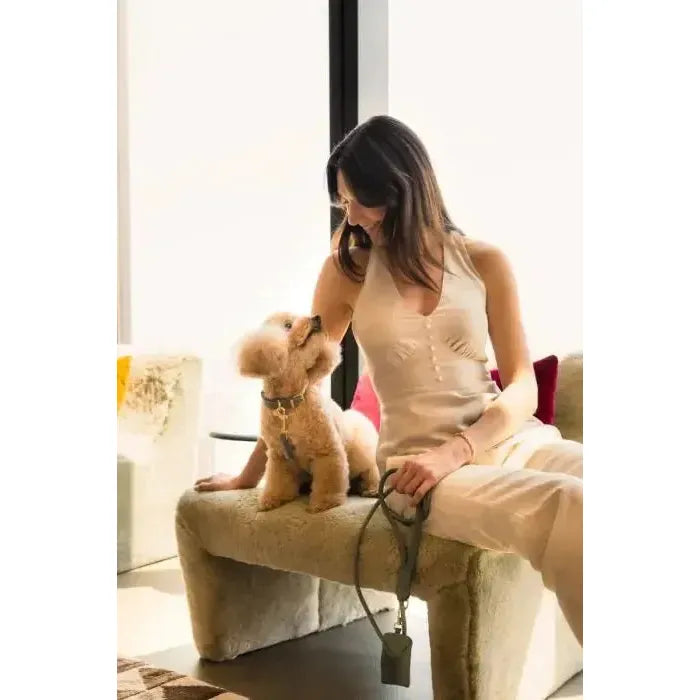 FuzzYard Life | Atelier Dog Collar - Myrtle Green-FuzzYard Life-Love My Hound