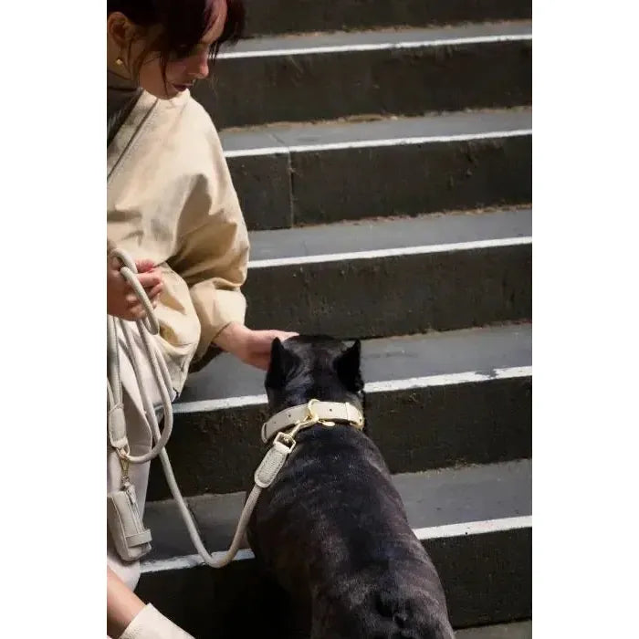 FuzzYard Life | Atelier Dog Collar - Sandstone-FuzzYard Life-Love My Hound