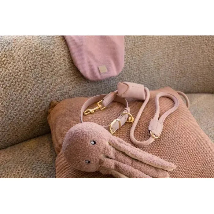 FuzzYard Life | Atelier Rope Dog Lead - Blush Pink-FuzzYard Life-Love My Hound