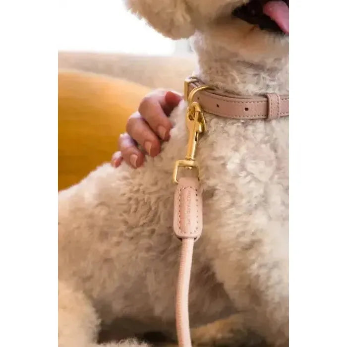 FuzzYard Life | Atelier Rope Dog Lead - Blush Pink-FuzzYard Life-Love My Hound
