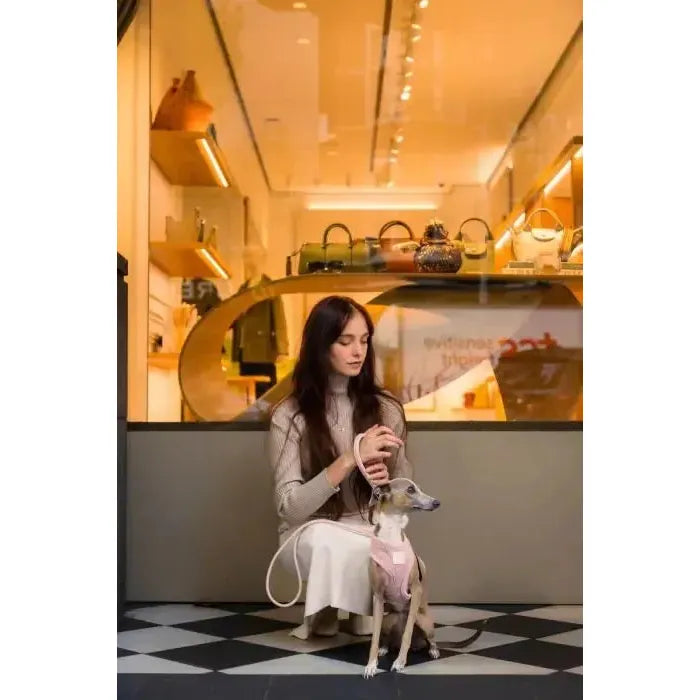FuzzYard Life | Atelier Rope Dog Lead - Blush Pink-FuzzYard Life-Love My Hound